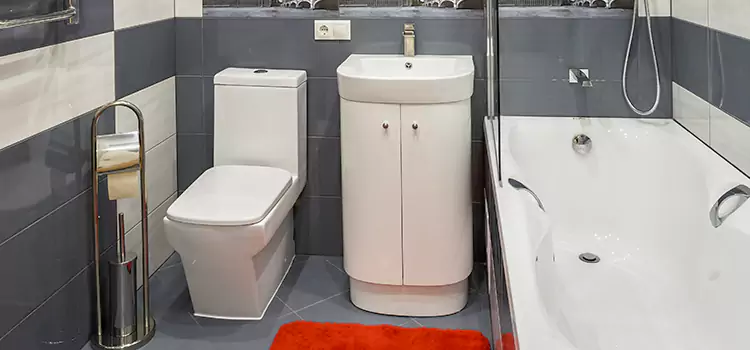 Hansgrohe Shaving Mirror Oxnard